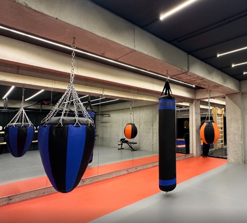 Մարզադահլիճ՝ տանձիկներ
